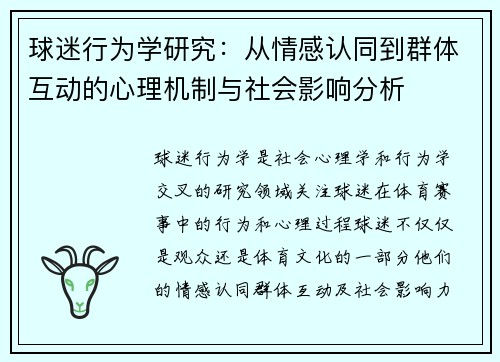 球迷行为学研究：从情感认同到群体互动的心理机制与社会影响分析