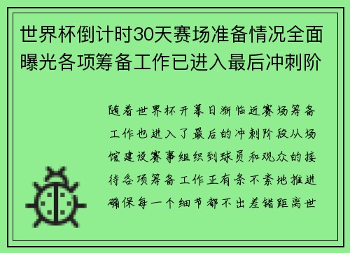 世界杯倒计时30天赛场准备情况全面曝光各项筹备工作已进入最后冲刺阶段